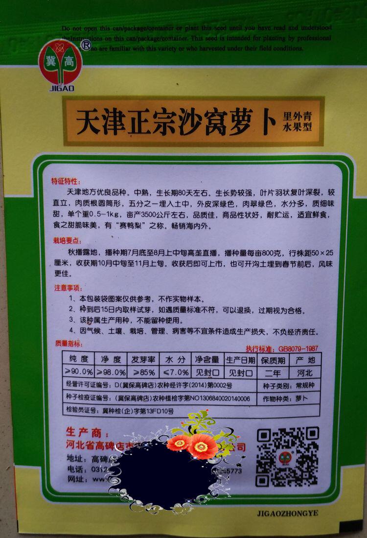 原装天津沙窝萝卜青萝卜种子批发 里外青水果型中熟天津味道