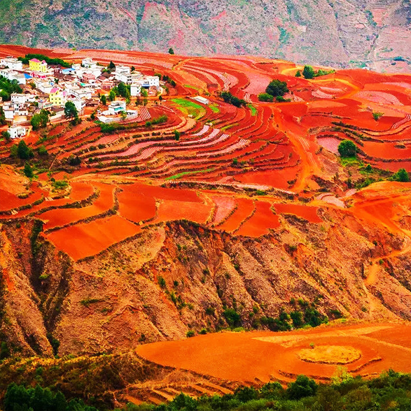 昆明东川红土地抚仙湖建水元阳哈尼梯田蒙自普者黑弥勒泸西8日游