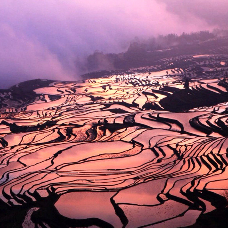 【2-8人小团】蒙自碧色寨元阳哈尼梯田建水朱家花园团山民居3日游