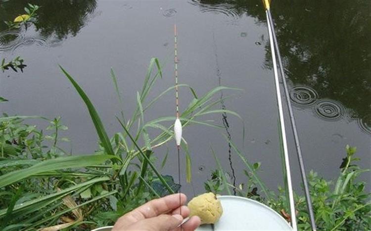 夏季钓鱼选浮漂和调漂技巧,咬钩即中!-钓鱼大师