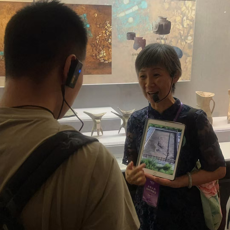 三毛游◆西安博物院讲解2.5H金牌导游小雁塔可选杨建讲解大咖解说