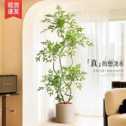 Nantian Bamboo Artificial Green Plant Indoor Decoration Bionic Plant Large Floor-Standing Potted Plant Fake Tree Simple Log Style
