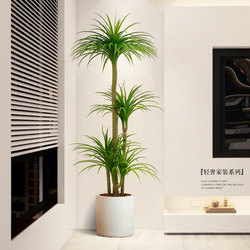 Simulated Green Plant Dracaena, High-End Light Luxury Indoor Living Room Large Floor-Standing Decoration, Artificial Plant Fake Tree