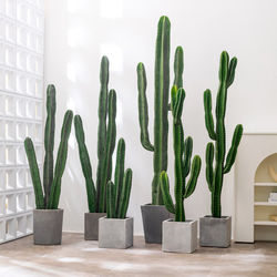 Artificial Green Plant Columnar Cactus Potted Tropical Fake Plant Cactus Indoor Floor-Standing Window Decoration Ornament