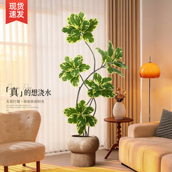 Artificial Golden Banyan Tree with a High-End Feel, Realistic Imitation Rubber Tree Plant, Vintage-Style Living Room Indoor Decoration Piece