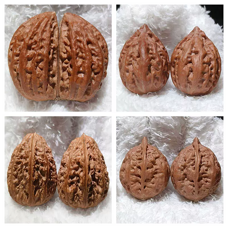 C精品一物一拍楸子秋子核桃文玩东北野生大粗筋