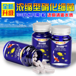 Nitrifying bacteria capsules improve water quality and purify water