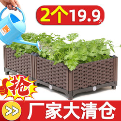 Special Box for Growing Vegetables, Plastic Flower Pots for Rooftop and Indoor Use, Foam Outdoor Flower Boxes, Planting Boxes, Balcony Vegetable Pots, Rectangular Shape