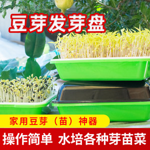 
Bean sprout tray germination basin hydroponic yellow green black bean sprouts vegetable planting vegetable bean sprout machine bucket can special bubble hair artifact