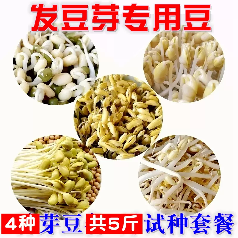 5斤4种芽豆试种套餐发豆芽专用豆珍珠小粒黄豆