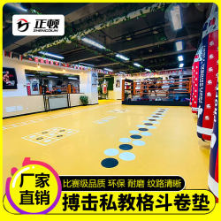 Martial Arts Mat for Sparring, Dance, Wrestling, Practice, Taekwondo, Martial Arts, Fighting, Judo, Floor Mat, Fitness Training