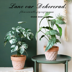 ins White and Green Turtle Leaf Plants, Trout, Begonia, Artificial Green Plants, Desktop Ornaments, Home Living Room Plants, Floor-Standing Decorative Leaves