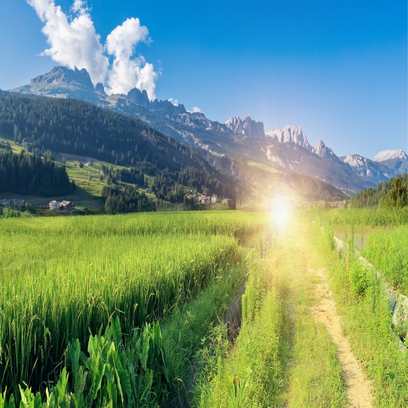 拉脊山/青海湖/日月山/倒淌河/金银滩/原子城/西宁一日游