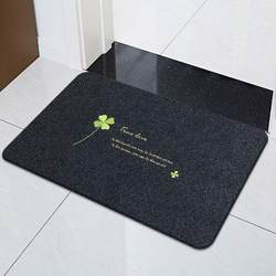 Entrance Floor Mat, Kitchen Absorbent and Stain-Resistant Non-Slip Mat, Bathroom Foot Mat, Can Be Cut, Bedroom Living Room Carpet