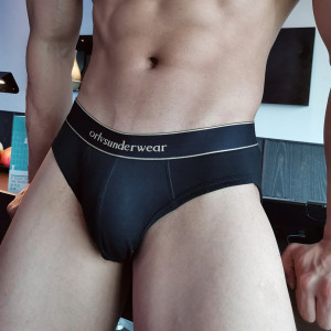 2 golden line light luxury men's briefs, elite business men's low waist wide waistband texture panties pure white