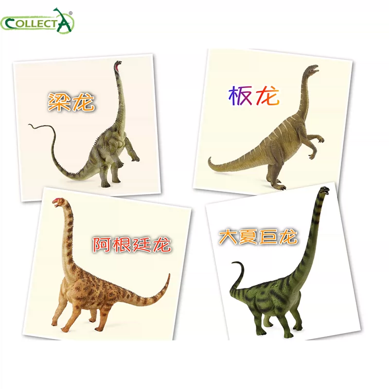 板龙 龙舞(板板龙灯)