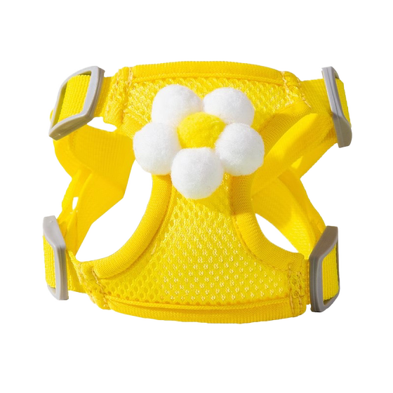 Cat traction rope Summer mesh breathable kitten dog chest strap to break free of cat ropes to go out for special chain
