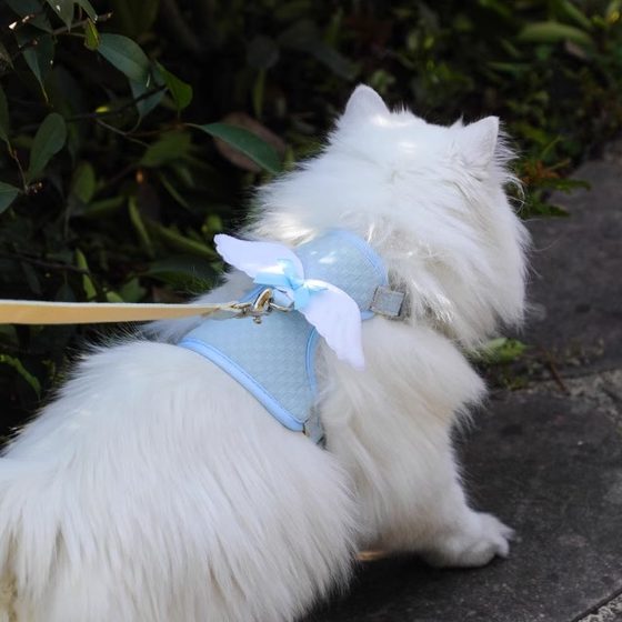 
Kitten traction rope, ultra-small I-shaped anti-breakaway kitty cat leash, adjustable cat harness for out walking