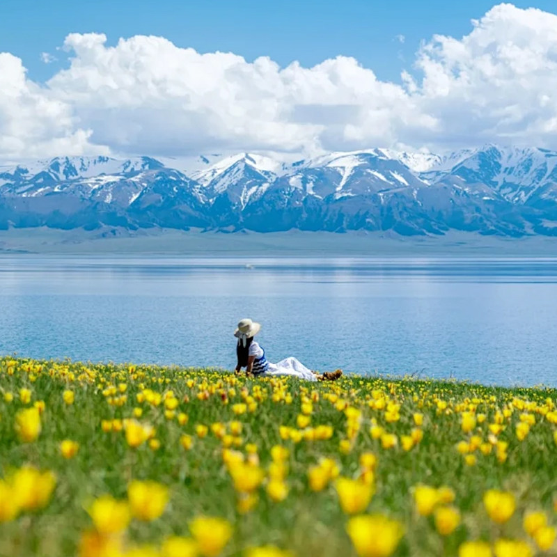 新疆旅游包车北疆伊犁环8日小团赛里木湖那拉提独库2-6人纯玩旅行