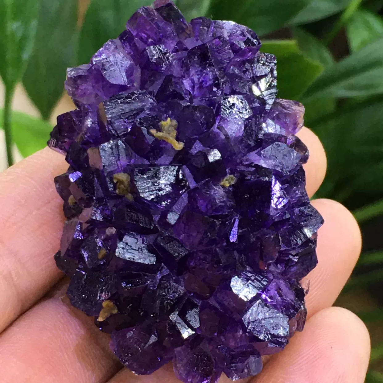 天然紫水晶花乌拉圭紫水晶簇紫晶块紫晶洞紫水晶