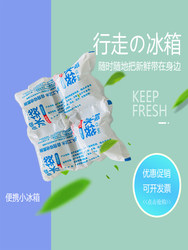 Airline Ice Packs for Fresh Food, Refrigerated Small Grid Food, Seafood Insulation, Express Delivery, No Water Needed, Disposable Ice Packs for Express Delivery
