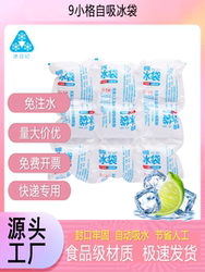 Commercial Household Express Seafood Special Cold Compress Foam Box Water-Free Disposable Aviation Biological Ice Bag Food Grade