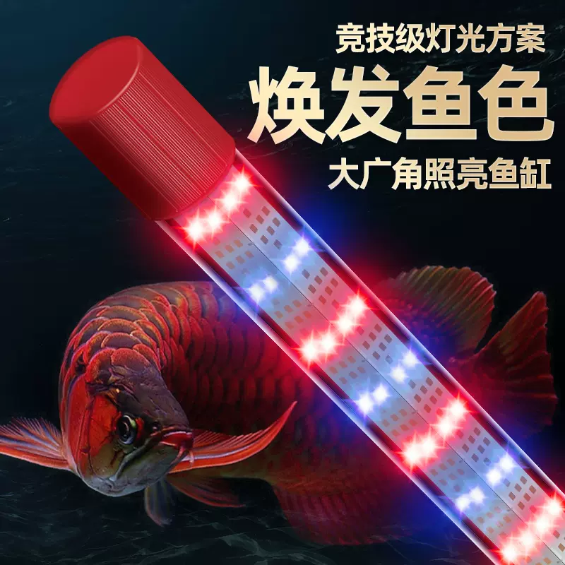 まとめ買いでお得 魚用品/水草 0506 魚用品/水草 