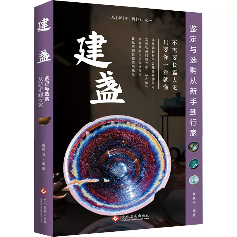 蚀花珠 朱晓丽 蚀花珠朱晓丽,李钰著著收藏鉴赏艺术新华书店正版图书籍广西美术