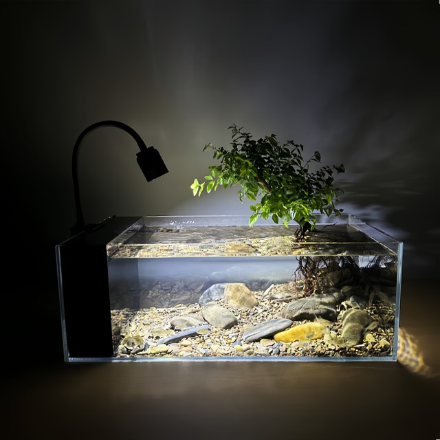 Stream Tank Diy Native stream tank full set of landscaping aquarium household living ...