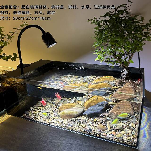 Stream Tank Diy Native stream tank full set of landscaping aquarium household living ...