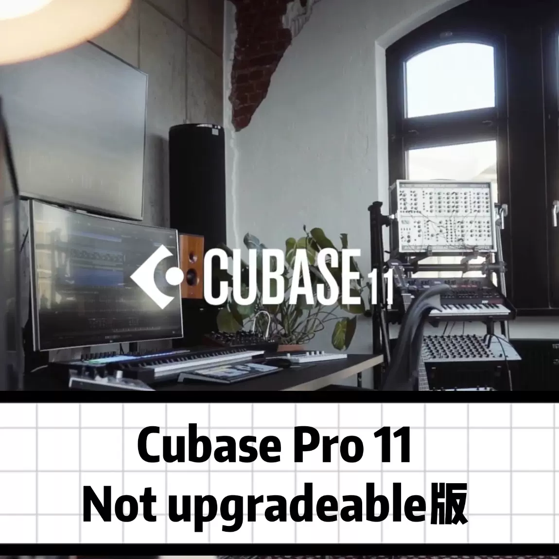 Cubase Pro 11商业版带加密狗elicenser 编曲混音录音软件-Taobao