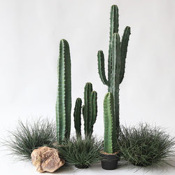 Simulated Cactus Cactus Column Sand Style Plant Landscaping Matchinging Famous Store Stacking Shop Decoration Ornaments