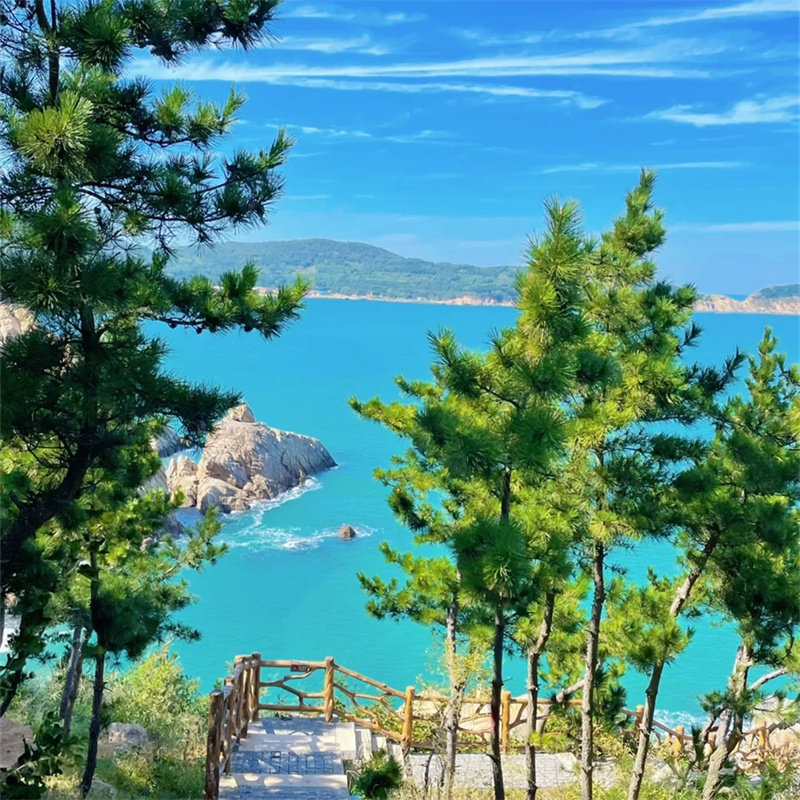 20人团|青岛烟台威海蓬莱5天4晚跟团游|双自助&1晚海景房&温泉