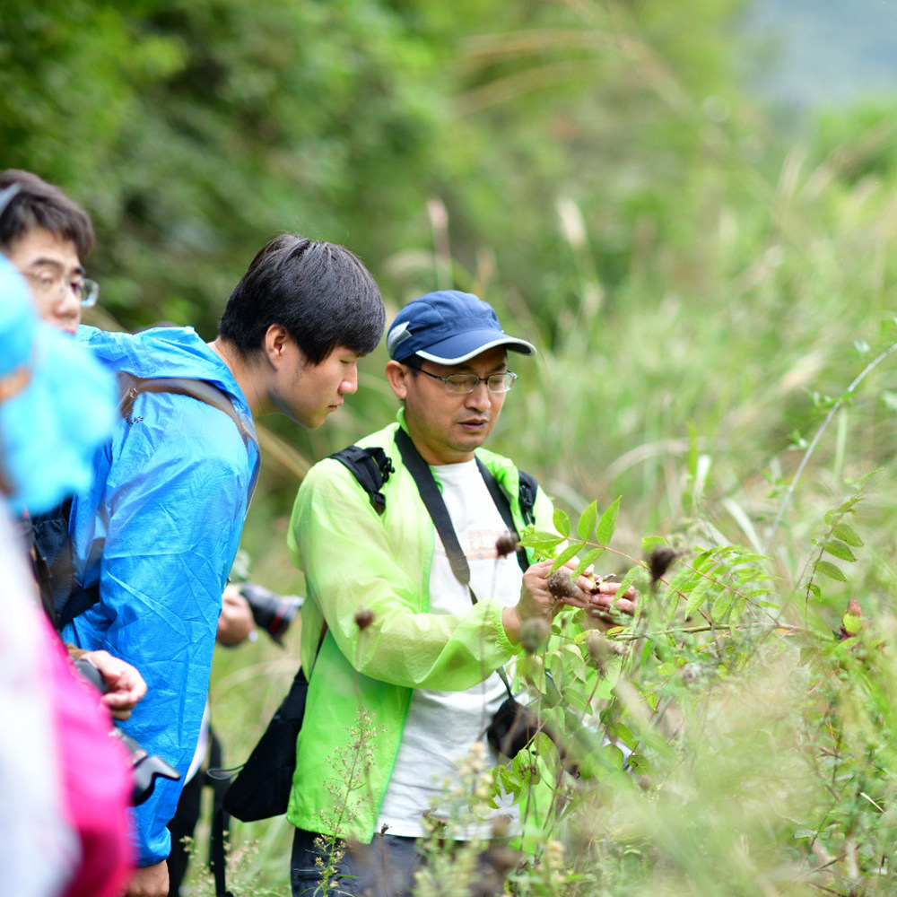 西双版纳 中科院热带植物园西区讲解丨精选导游讲解丨多场次可选