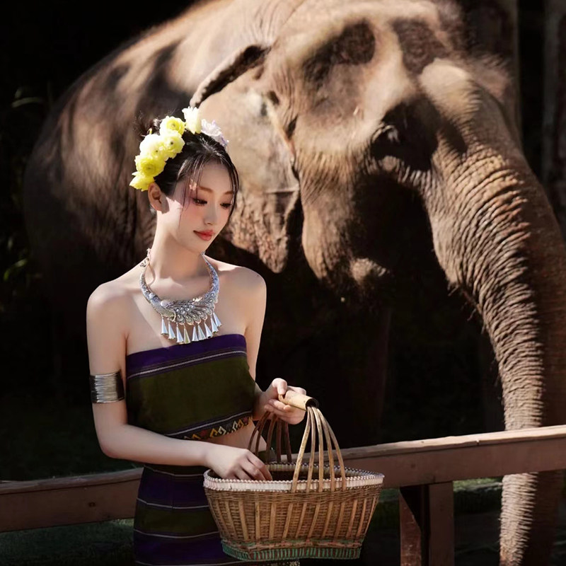 云南 西双版纳野象谷+原始森林公园一日游-可选15人团 品质纯玩