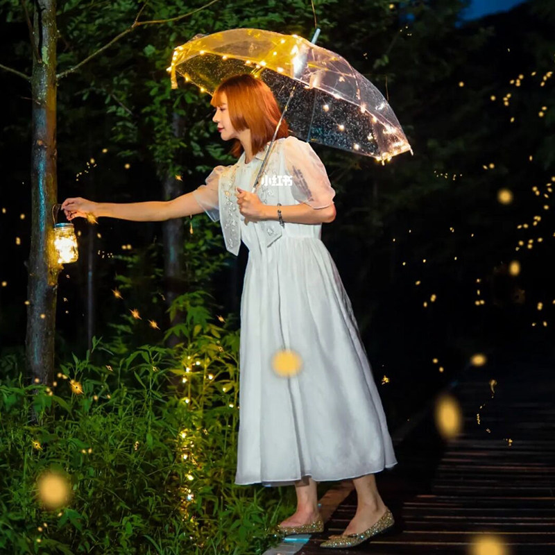 云南旅游-西双版纳中科院植物园夜游纯玩一日游-萤火虫趣味夜游