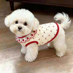 Dog Clothes Spring and Summer Thin Sweet Style Cute Lace Vest Teddy Bichon Schnauzer Small Dog Clothing