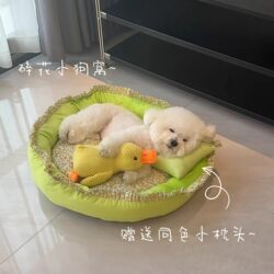 Small Floral Dog Bed for All Seasons, Suitable for Small and Medium-Sized Dogs, Dog Sleeping Mat, Small Bichon Pet Round Cat Bed, Cat Supplies