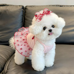 Pet Dog Clothes Summer Thin Style Anti-Shedding Breathable Cat Summer Outfit Bichon Short-Sleeved Dress 2026 New Model