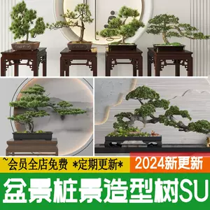 日式松树盆- Top 50件日式松树盆- 2024年3月更新- Taobao