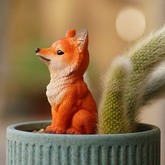 Nine -tailed fox multi -meat flower bonsai decorative ornaments outdoor micro -landscape monkey tail column landscape white fox tail
