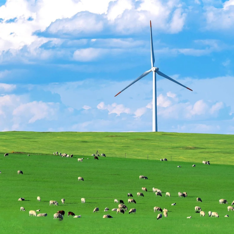 洛阳出发 南京自由行入住诺富特酒店 游玩总统府