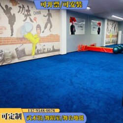 Martial Arts Carpet, Dance, Opera, Artistic Gymnastics Mat, Bedroom, Living Room, Competition Training Special Mat, Full Coverage Roll-Out Mat