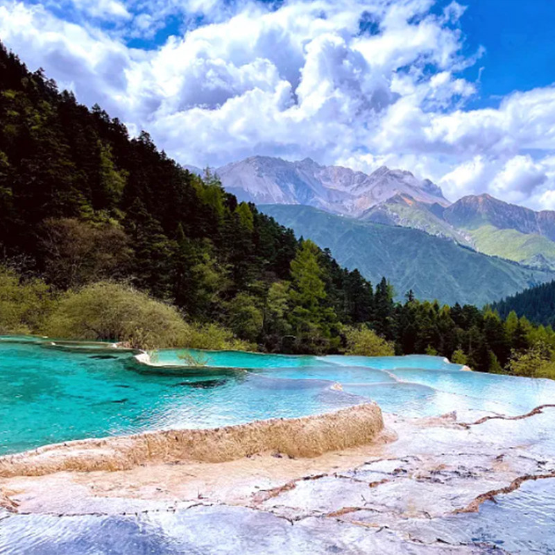 ●2-8人团纯玩九寨沟一日游可选含动车票四川成都周边游含门票