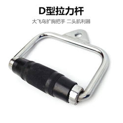 Gym D-Shaped Wrist Strap Pull-Down Bar Biceps Strength Training Equipment Fitness Equipment Accessories Big Bird