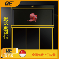 Qianhu Fish Industry Group Julongdian 4th Generation Borderless Fish Tank With Ultra White Glass For Red Arowana Large Aquarium