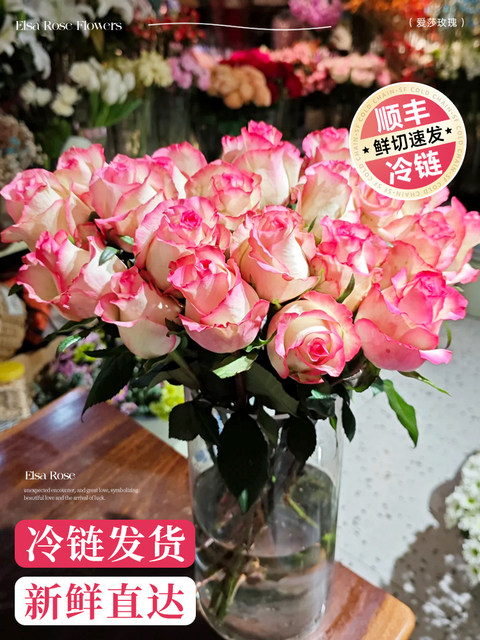 Aisha Rose Aisha Flowers Fresh Cut Flowers Yunnan Base Straight Water to Raise Household Flower Arrangement Super Long Flower Real Flowers
