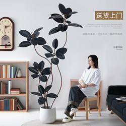 Artificial Green Plant Potted Indoor Large Rubber Tree High-End Luxury Fake Plant Living Room Decoration Piece Next to the Sofa