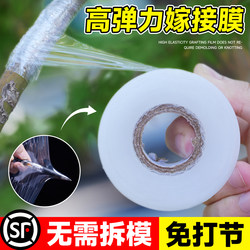 Grafting Film, Special Film for Fruit Tree Grafting, Self-Adhesive, No-Removal Wrapping Film, Garden Tape, Plastic Film, Binding Film, Thin Film