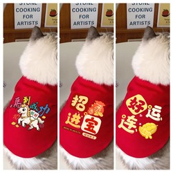 Pet Kitten New Year Festive Clothes Red Autumn and Winter Style Ragdoll Cat British Shorthair Blue Cat Warm Sweatshirt Anti-Shedding